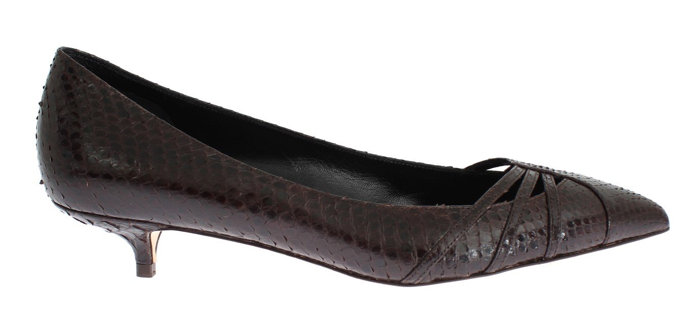 Dolce & Gabbana Women's Snakeskin Kitten Heels Pumps Brown SIG18299 - EU35/US4.5